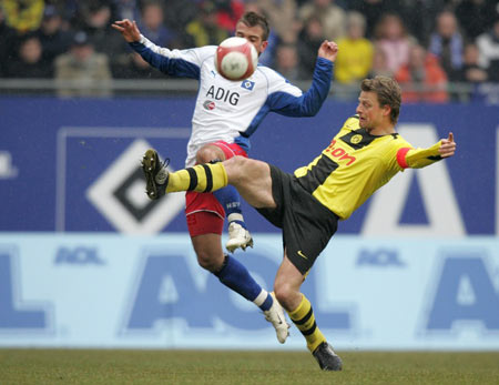 的华丽数据 的华丽数据